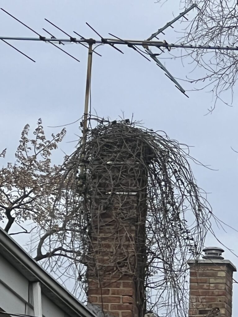 Chimney blockage creating carbon monoxide and fire hazard - chimney cleaning and obstruction removal in Chicago, IL